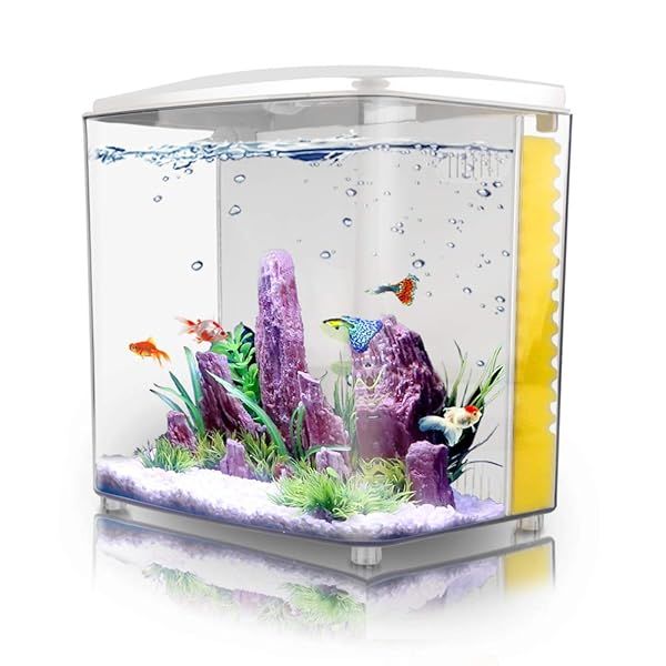 1.2 Gallon Betta Aquarium Starter Kit - Square Fish Tank with LED Light & Filter Pump