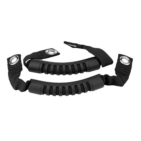 ARAMOX 2Pcs Car Rear Seat Back Grab Handle Set for 1995-2017 - Black Headrest Accessories