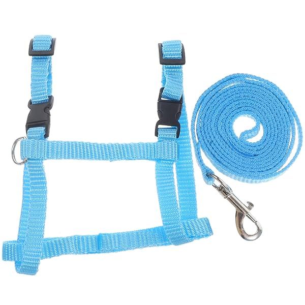 Adjustable Blue Rabbit Harness & Leash - Soft Nylon Bunny Walking Gear for Outdoor Adventures
