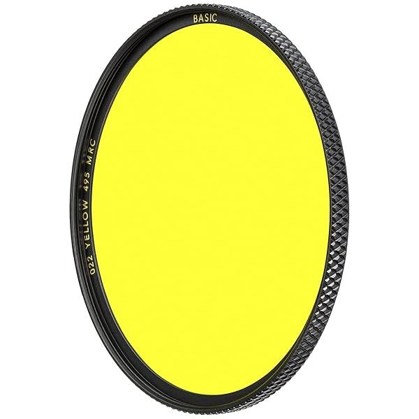 Buy B+W 49mm Basic Black & White MRC 022M Glass Filter - Enhance Your Photography