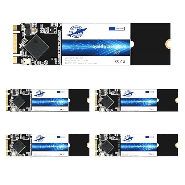 Dogfish 64GB M.2 SSD SATA III 6 Gb/s - 5 Pack Internal Solid State Drive for Desktop & Laptop (M.2 2280)