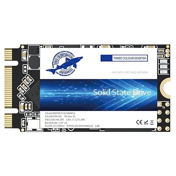 Dogfish 500GB M.2 2242 SSD - High-Speed Internal Solid State Drive for Laptops