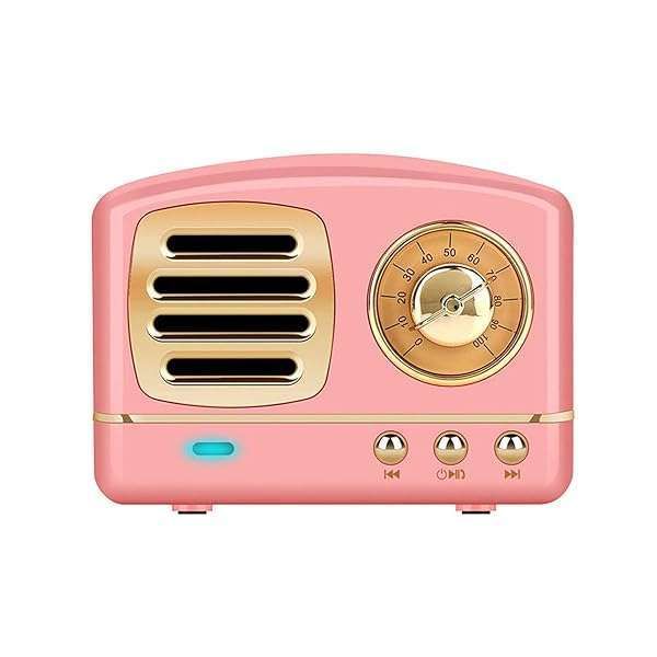 Dosmix Portable Bluetooth Speaker: Retro Design, Enhanced Bass, TF Card Slot - Perfect for Travel & Home (Pink)
