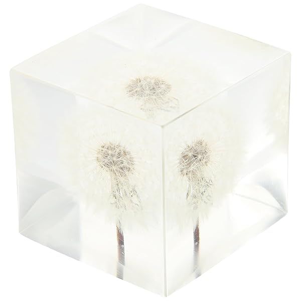 3D Dandelion Glass Balls Cube - Elegant Crystal Desktop Ornament for Home Decor, Weddings & Birthdays (1.97 in)