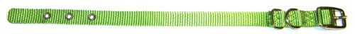 Shop Hamilton 5/8-Inch Nylon Deluxe Dog Collar in Lime Green - Durable & Stylish for Your Pet