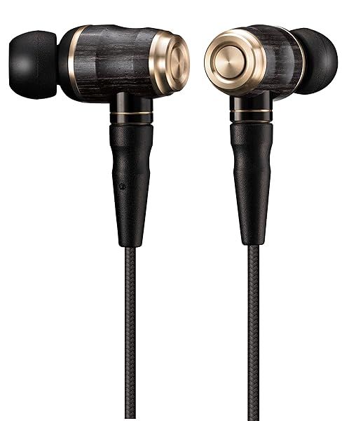 JVC KENWOOD HA-FX1100 In-Ear Headphones - Premium Black Japan Import