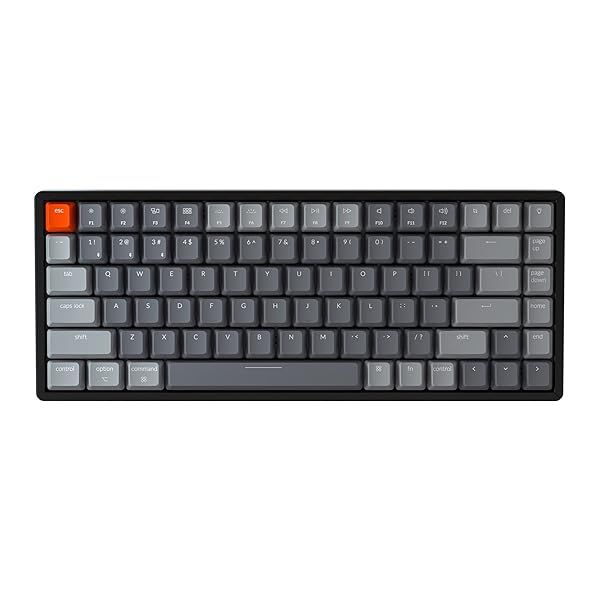 Keychron K2 V2 Wireless Gaming Keyboard: Compact 84 Keys, RGB Backlit, Gateron Blue Switch for Mac & Windows
