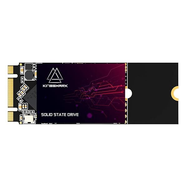 Kingshark 250GB M.2 2260 SSD - High-Performance SATA III Internal Drive for Desktop & Laptop