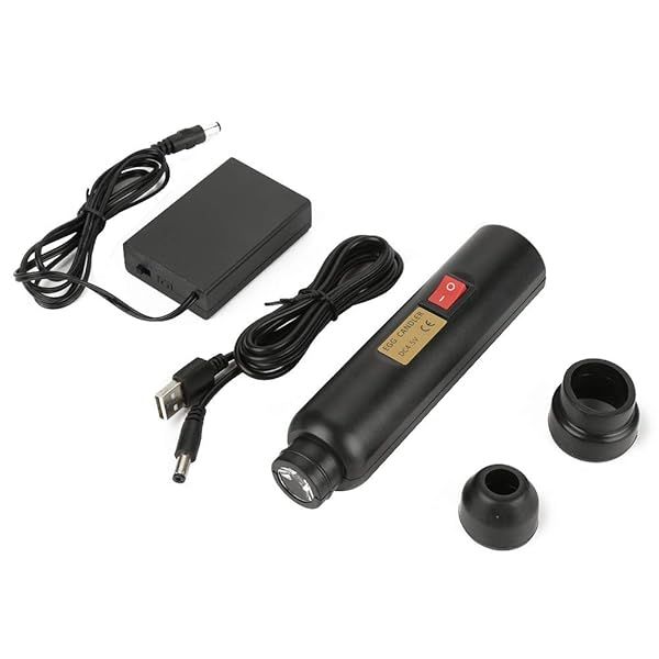 LED Egg Hatching Test Light: Mini Candler for Chicken Eggs & Science Experiments