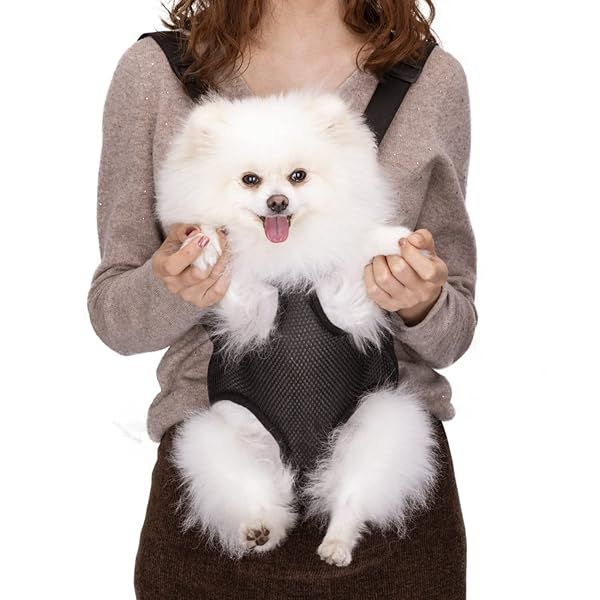 Adjustable Nobleza Pet Carrier Backpack for Small Dogs, Cats & Rabbits - Easy-Fit Legs Out Design (L, Black)