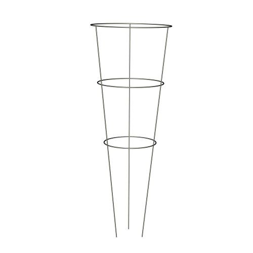 Buy Panacea 89723 Galvanized Tomato & Plant Support Cage - Pack of 10 for Stronger Growth