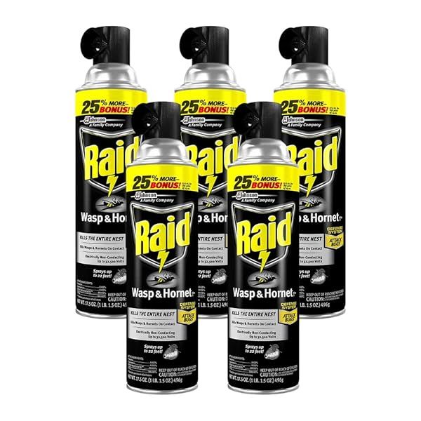Raid Wasp and Hornet Killer 17.5 Oz - Pack of 5 | Fast-Acting Insect Control for Your Home