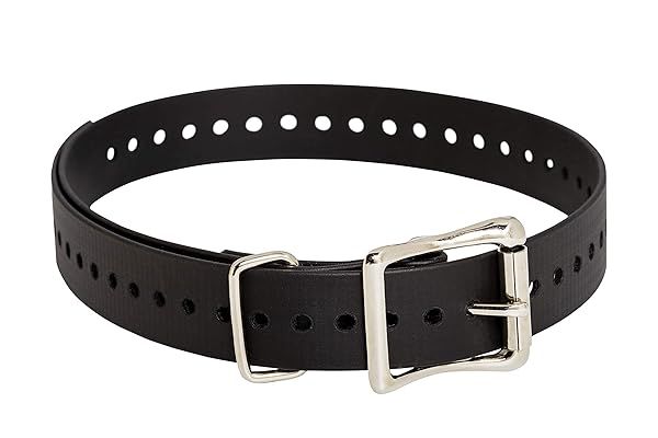 SportDOG 1-Inch Waterproof Collar Straps - Rustproof, Adjustable Fit, Durable Black Design