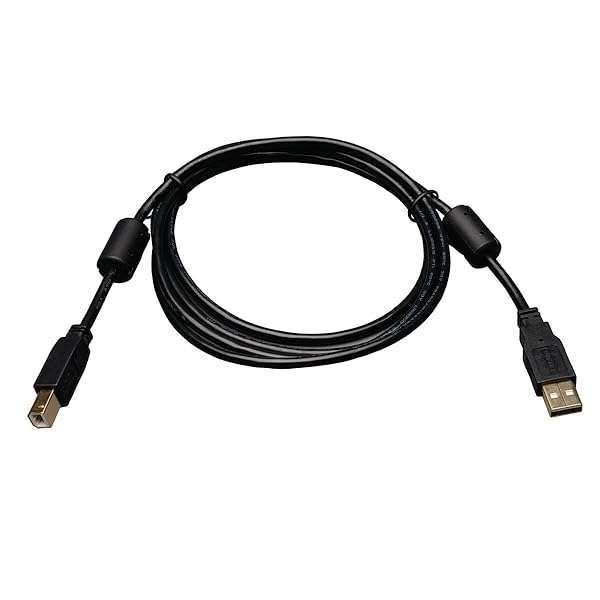 Tripp Lite 6-ft USB 2.0 A/B Cable with Ferrite Chokes - High-Speed M/M Connection, Black