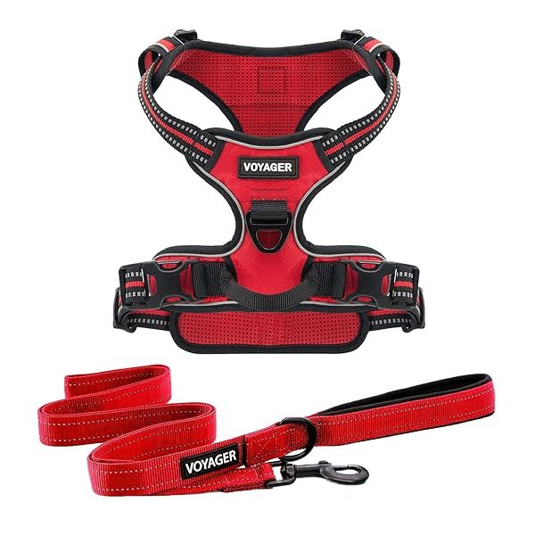 Voyager No-Pull Dog Harness with Dual Leash Attachment - Adjustable & Reflective for Medium/Large Dogs (Red Lattice)