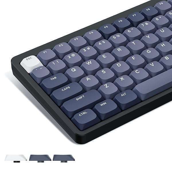 Buy Womier Low Profile PBT Keycaps Set - 144 Custom Double Shot Keycaps for 60%-100% Mechanical Keyboards in Grey