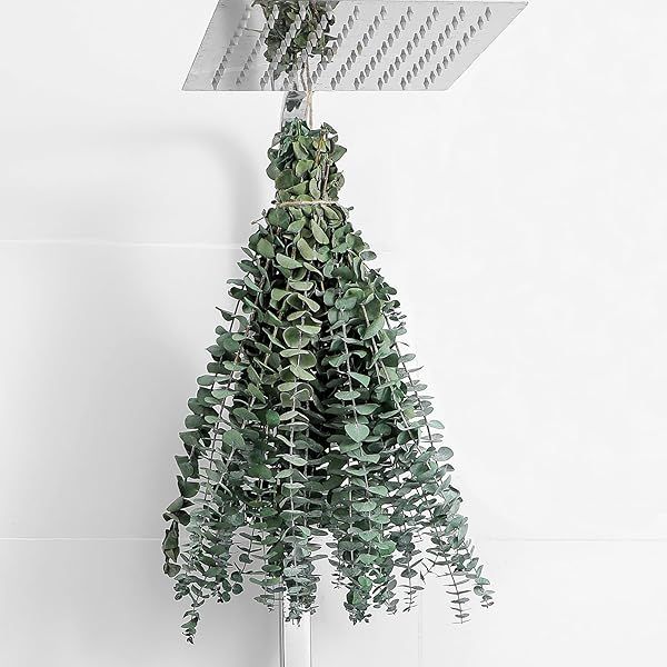 "10 Pcs Dried Eucalyptus Stems - 17" Real Eucalyptus for Shower & Home Decor | Perfect for Weddings & DIY Spring Decor"