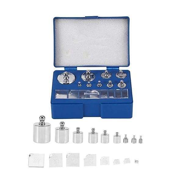 17-Piece Precision Calibration Weight Set: Accurate Weights from 500mg to 100g for Lab & DIY Use