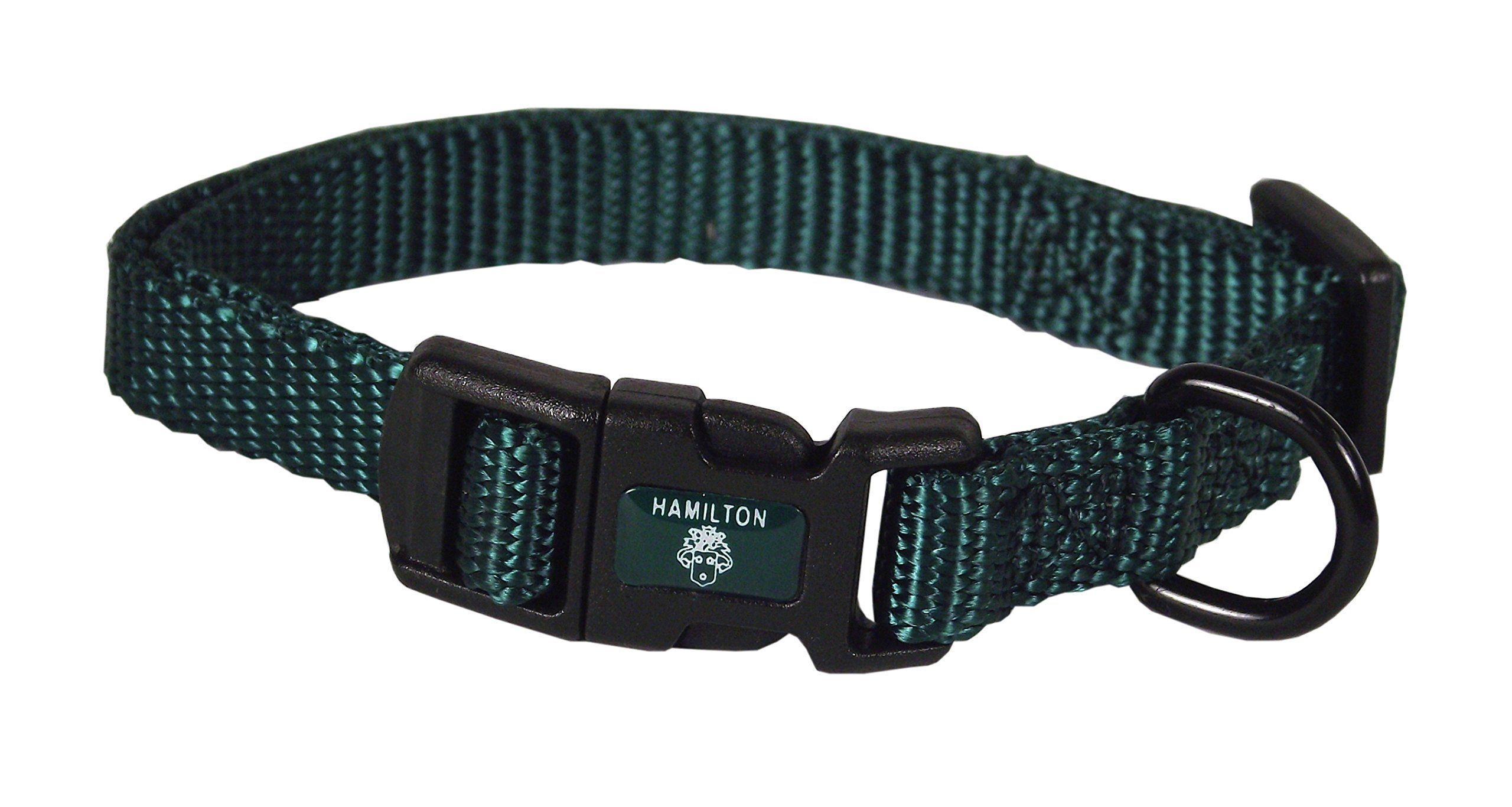 "Shop Hamilton Adjustable Dark Green Nylon Dog Collar 3/8" x 7-12" - Durable & Stylish Pet Accessory"