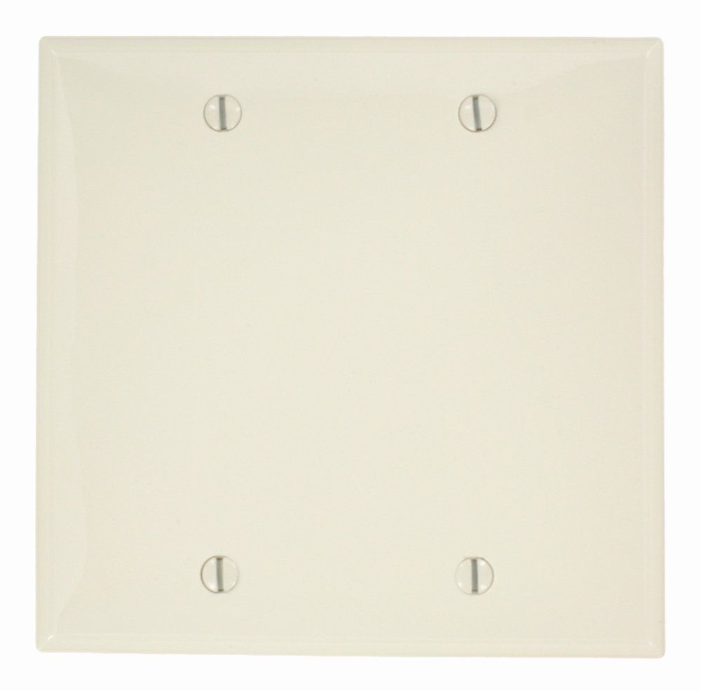 Leviton 80725-T LA WP 2G Blank Standard Size Box Mount - Durable Nylon Solution