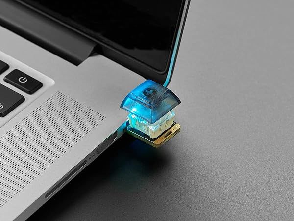 Adafruit NeoKey Trinkey: Ultimate USB NeoPixel Mechanical Key Switch for Custom Keyboards