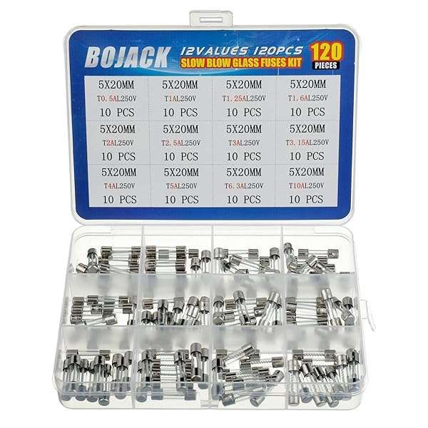 BOJACK 120 pcs Slow Blow Glass Fuses Assortment Kit 5x20mm 250V - 12 Values in Clear Plastic Box