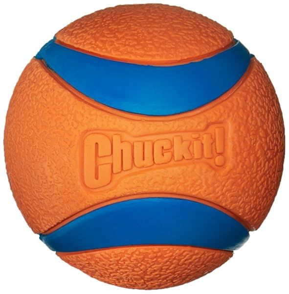 Chuckit! Large Ultra Balls for Dogs - 6 Pack for Ultimate Fetch Fun