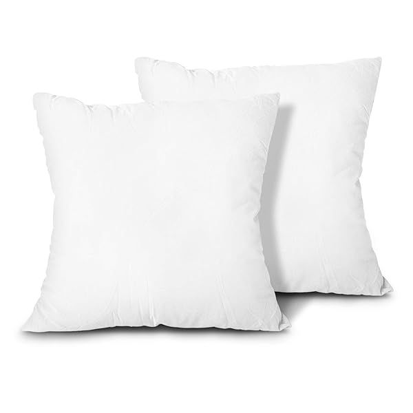EDOW 20x20 Throw Pillow Inserts - Set of 2 Lightweight Down Alternative, Machine Washable Couch Cushions (White)