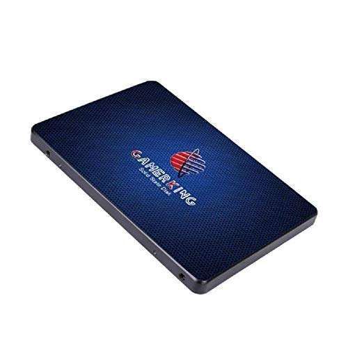 "Buy GAMERKING 500GB SSD SATA III 2.5" Internal Solid State Drive for PC & Laptop - Fast 6Gb/s Performance"