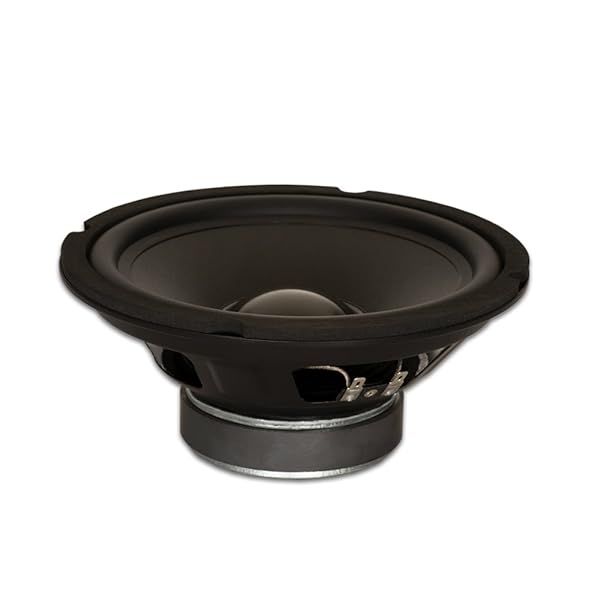 "Goldwood Sound GW-8028 8" Rubber Surround Woofer - 190W 8 Ohm Replacement Speaker in Black"