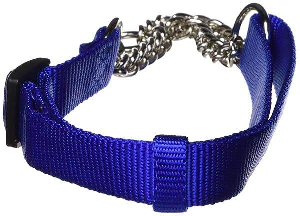 "Buy Hamilton Adjustable Combo Choke Dog Collar - Blue, Medium (3/4" x 18-26") for Ultimate Comfort & Control"