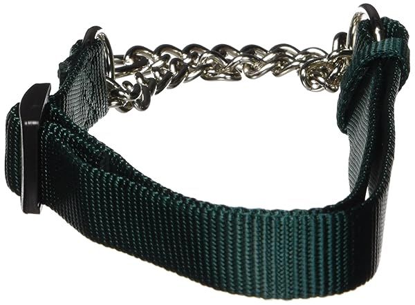 "Shop Hamilton Adjustable Combo Choke Dog Collar - Dark Green, Medium (3/4" x 18-26") for Ultimate Pet Comfort"