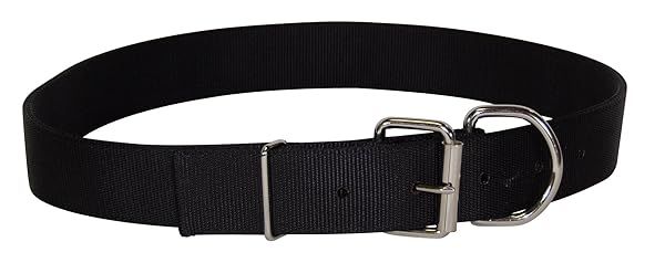 "Buy Hamilton Deluxe Double Thick Nylon Dog Collar 1-3/4" x 30" - Durable Black Pet Collar for Large Dogs"