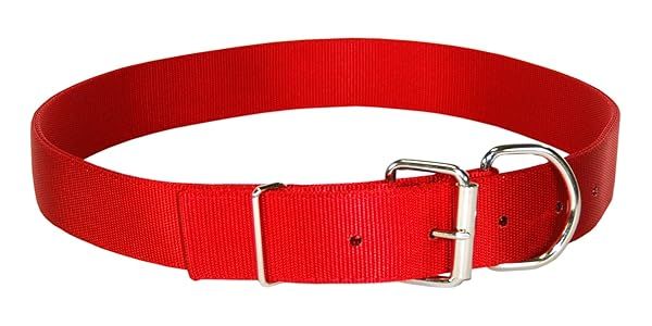 "Shop Hamilton Deluxe Double Thick Nylon Dog Collar - 1-3/4" x 32" Red | Durable & Stylish Pet Accessory"