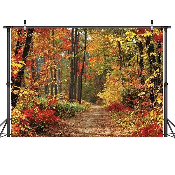 LYWYGG 7x5ft Autumn Deciduous Background - Stunning Fall Leaves Photography Backdrop for Studio Props