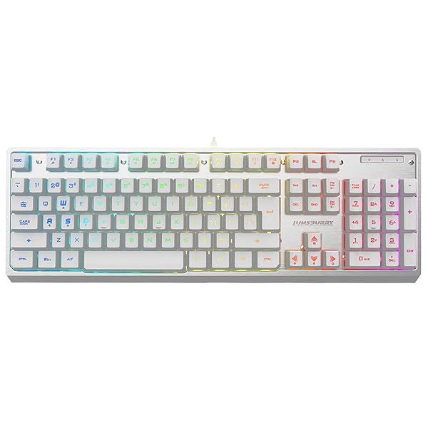 Buy Lumsburry White Gaming Keyboard: Rainbow LED, 19 Anti-Ghosting Keys, Ergonomic Design, USB Wired, Water-Resistant for PC & Mac