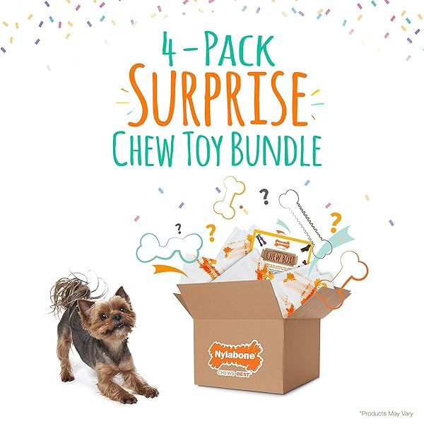 Shop Nylabone Chew Toy Surprise Box for X-Small/Petite Dogs - All Breed Sizes (1 Count)