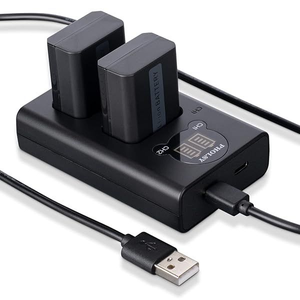 PHOLSY 2-Pack NP-FW50 Batteries & Charger for Sony Cameras: ZV-E10, a7 Series, a6000, RX10 & More