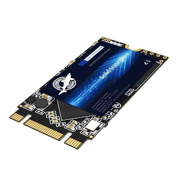 High-Performance 500GB M.2 2242 SSD - Dogfish NGFF Internal Solid State Drive for Desktop & Laptop, SATA III 6Gb/s