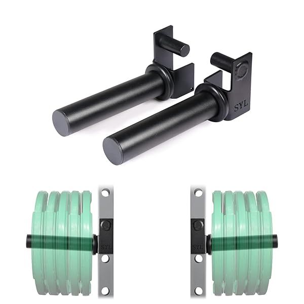 "SYL Fitness Olympic Weight Plates Holder - Power Rack Attachment for 2x2" Racks (1" Hole) - Efficient Weights Storage Solution"