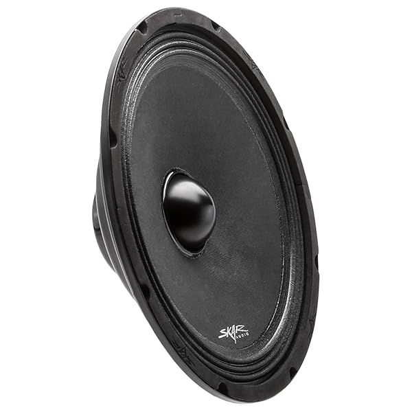 " Skar Audio NPX10-8 10" 400W 8-Ohm Neodymium Mid-Range Loudspeaker - High Performance Pro Audio Speaker"