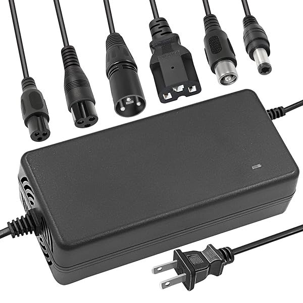 Buy Tnvodejo 54.6V 2A Li-ion Battery Charger for 13S 48V - Multiple Plugs Available