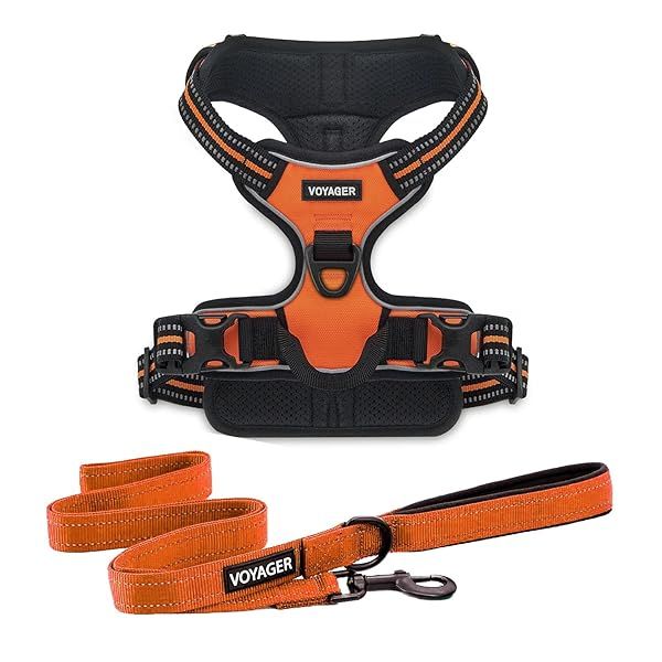 Voyager No-Pull Dog Harness with Dual Leash Attachment - Adjustable & Reflective for Medium/Large Dogs (Orange)