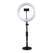 Gator Frameworks 10-Inch LED Ring Light Stand with Phone Holder & Weighted Base - Perfect for Streaming & Photography