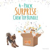 Shop Nylabone Chew Toy Surprise Box for X-Small/Petite Dogs - All Breed Sizes (1 Count)